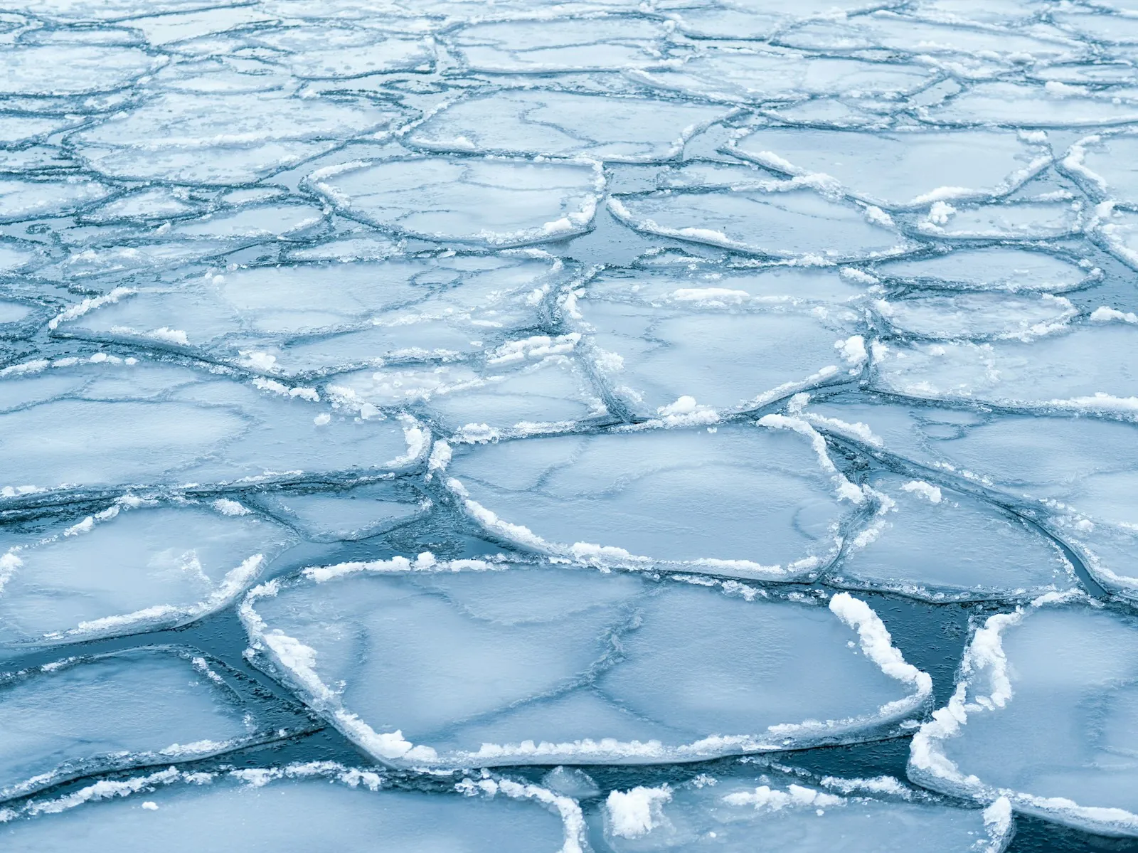 Plates of thin sea ice with dark water in between
